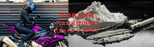 прущие грибы Беломорск