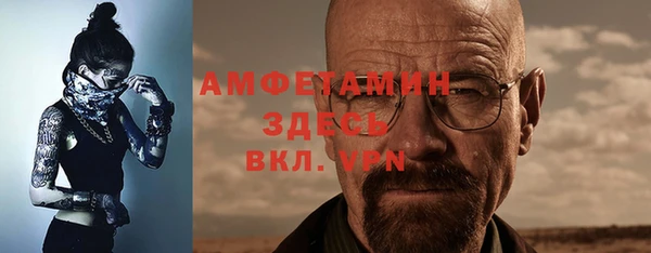 прущие грибы Беломорск