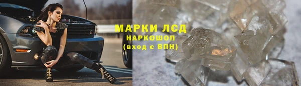прущие грибы Беломорск