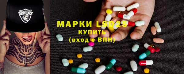прущие грибы Беломорск
