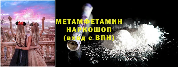 прущие грибы Беломорск