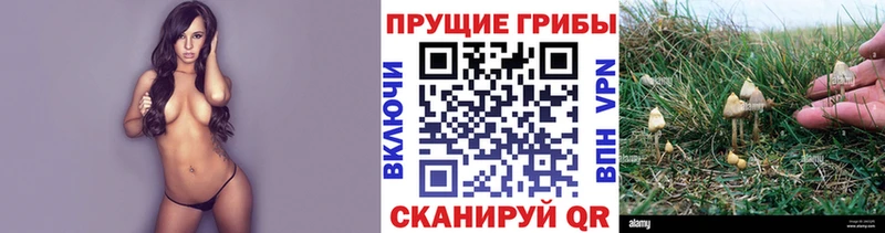 Галлюциногенные грибы ЛСД  Купить закладки  Димитровград 
